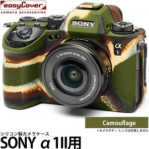 Wpzr[c[ C[W[Jo[ SONY 1IIp tیtBt Jt[W y[ zy[z