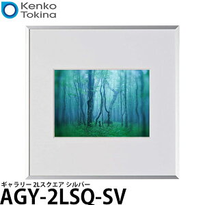 �y���������z �P���R�[�E�g�L�i�[ AGY-2LSQ-SV �M�������[ 2L�X�N�G�A �V���o�[