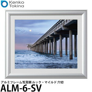 yz PR[EgLi[ ALM-6-SV A~t[ʐ^z bNE}Ch Z Vo[ mu/Ǌ|n