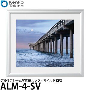 PR[EgLi[ ALM-4-SV A~t[ʐ^z bNE}Ch l Vo[ yz