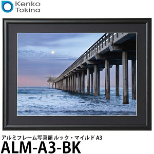 yz PR[EgLi[ ALM-A3-BK A~t[ʐ^z bNE}Ch A3 ubN [u/Ǌ|]