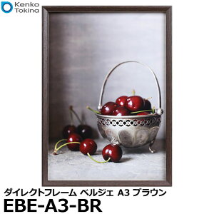 yz PR[EgLi[ EBE-A3-BR z/_CNgt[ xWF A3 uE [tHgX^h tHgt[ ʐ^z]