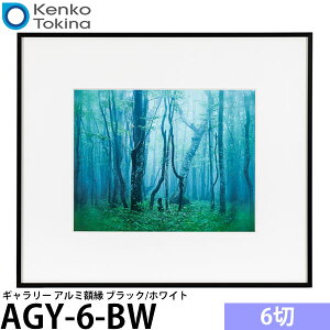 �P���R�[�E�g�L�i�[ AGY-6-BW �M�������[ 6�� �u���b�N/�z���C�g �y���������z