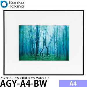 �P���R�[�E�g�L�i�[ AGY-A4-BW �M�������[ A4 �u���b�N/�z���C�g �y���������z