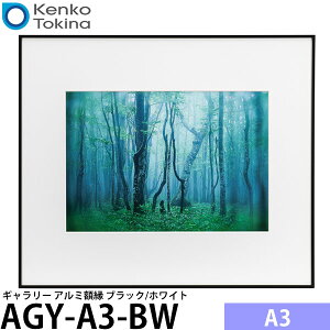 �P���R�[�E�g�L�i�[ AGY-A3-BW �M�������[ A3 �u���b�N/�z���C�g �y���������z