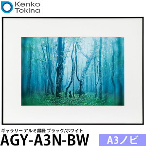 �P���R�[�E�g�L�i�[ AGY-A3N-BW �M�������[ A3�m�r �u���b�N/�z���C�g �y���������z
