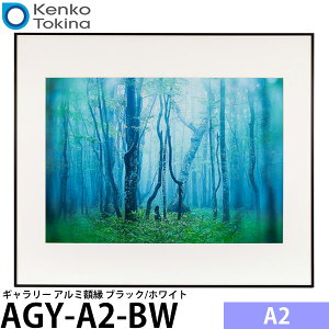 �P���R�[�E�g�L�i�[ AGY-A2-BW �M�������[ A2 �u���b�N/�z���C�g �y���������z
