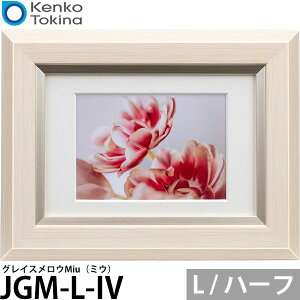 PR[EgLi[ JGM-L-IV OCXEMiui~EjL / n[tTCYp AC{[ y[ z