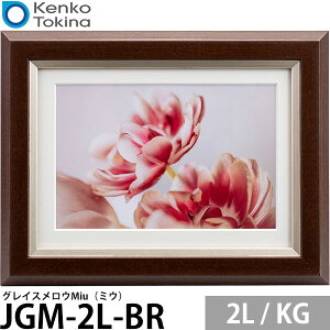 PR[EgLi[ JGM-2L-BR OCXEMiui~Ej 2L / KGp uE y[ z