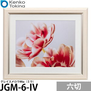 PR[EgLi[ JGM-6-IV OCXEMiui~EjZ AC{[ yz