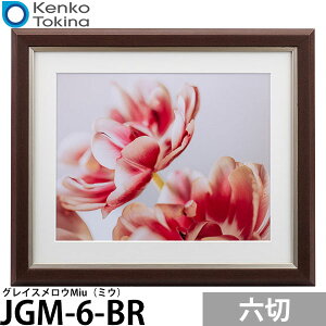 PR[EgLi[ JGM-6-BR OCXEMiui~EjZ uE yz