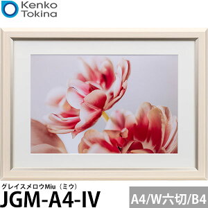 PR[EgLi[ JGM-A4-IV OCXEMiui~EjA4EChZ / B4p AC{[ yz