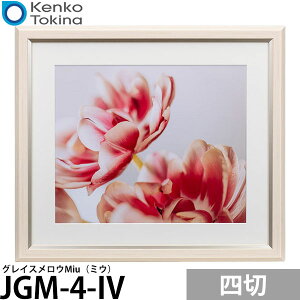 PR[EgLi[ JGM-4-IV OCXEMiui~Ejl AC{[ yz