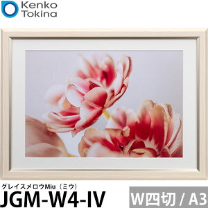 PR[EgLi[ JGM-W4-IV OCXEMiui~EjChl / A3p AC{[ yz