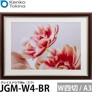 PR[EgLi[ JGM-W4-BR OCXEMiui~EjChl / A3p uE yz