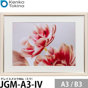 PR[EgLi[ JGM-A3-IV OCXEMiui~EjA3 / B3p AC{[ yz
