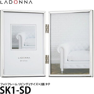 hi SK1-SD tHgt[ rO LTCY×2 ^e y[ zy[z