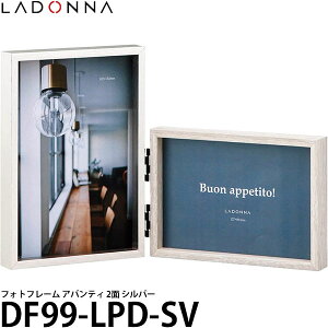 hi DF99-LPD-SV tHgt[ AoeB 2 Vo[ [|XgJ[h/LTCY/ʐ^/ladonna] y[ z