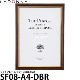 【送料無料】 ラドンナ SF08-A4-DBR フォトフレーム リビング A4サイズ [壁掛け/インテリア/写真額/ladonna]