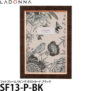 y[ z hi SF13-P-BK tHgt[ rO |XgJ[h ubN [^eERΉ/CeAG/ʐ^/ladonna]