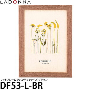 y[ z hi DF53-L-BR tHgt[ AoeB LTCY uE [CeAG/ʐ^/ladonna]