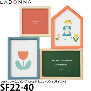 hi SF22-40 tHgt[ rO XNGA ~jTCY×1 LTCY×2 yz