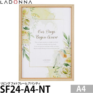 ���h���i SF24-A4-NT ���r���O �t�H�g�t���[�� �A�o���e�B A4 �i�`������ �y���������z