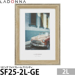 hi SF25-2L-GE rO tHgt[ AoeB 2LTCY O[W y[ z