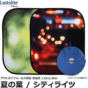 yz Lastolite LL LB5730 AEgIutH[JXwi ܏ 1.25×1.55m Ă̗t/VeBCc [XgCg/|[g[gBepobNOEh]