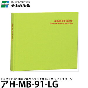 iJoV AH-MB-91-LG hDt@rl100NAoubN ~j CgO[ y[ z