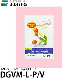 y[ ziJoV DGVM-L-P/V J[VJbg}bg䎆 L sN [tHgt[//L/Ǌ|]