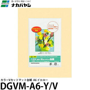 y[ z iJoV DGVM-A6-Y/V J[VJbg}bg䎆 A6 CG[ [tHgt[//KG/͂/|XgJ[h/Ǌ|]