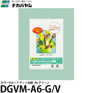 y[ z iJoV DGVM-A6-G/V J[VJbg}bg䎆 A6 O[ [tHgt[//KG/͂/|XgJ[h/Ǌ|]