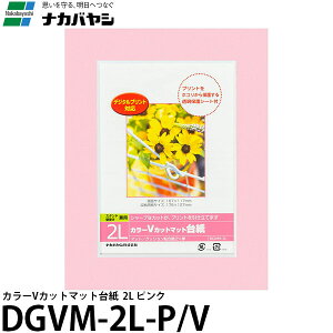 y[ z iJoV DGVM-2L-P/V J[VJbg}bg䎆 2L sN [tHgt[//Ǌ|]