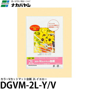 y[ z iJoV DGVM-2L-Y/V J[VJbg}bg䎆 2L CG[ [tHgt[//Ǌ|]