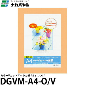iJoV DGVM-A4-O/V J[VJbg}bg䎆 A4 IW yz