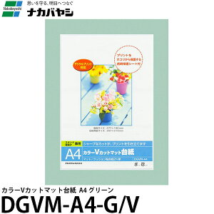 iJoV DGVM-A4-G/V J[VJbg}bg䎆 A4 O[ yz