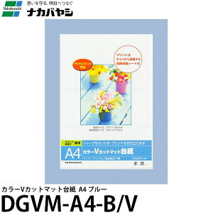 iJoV DGVM-A4-B/V J[VJbg}bg䎆 A4 u[ yz