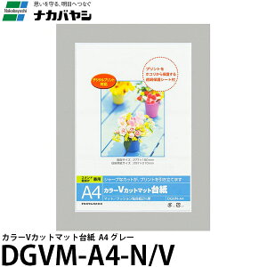iJoV DGVM-A4-N/V J[VJbg}bg䎆 A4 O[ yz