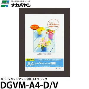 iJoV DGVM-A4-D/V J[VJbg}bg䎆 A4 ubN yz
