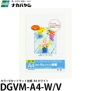 iJoV DGVM-A4-W/V J[VJbg}bg䎆 A4 zCg yz