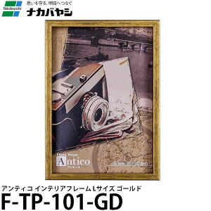 y[ z iJoV F-TP-101-GD AeBR CeAt[ L S[h [L/tHgt[/ʐ^]