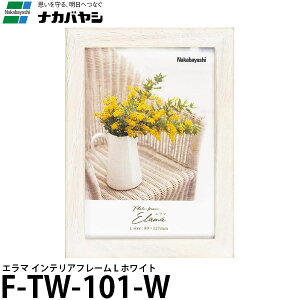 iJoV F-TW-101-W G} CeAt[ L zCg y[ z