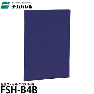 iJoV FSH-B4B ؏t@C NX B4  yz