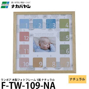 �i�J�o���V F-TW-109-NA �����|�A �ؐ��t�H�g�t���[�� 1�� �i�`������ �X�^���h�t�� �y���������z