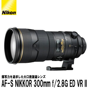 yz jR AF-S NIKKOR 300mm f/2.8G ED VR II [Nikon F}Eg Pœ_Y]