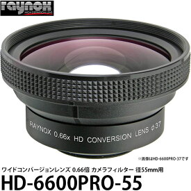 【送料無料】【即納】 レイノックス HD-6600PRO-55 ワイド（広角）コンバージョンレンズ 0.66倍 カメラフィルター径55mm用