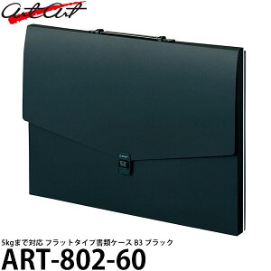 A^[g ART-802-60 tbg^CvP[X B3 ubN yz