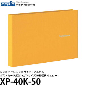 ZLZC XP-40K-50 ~jbZX ~j|PbgAo |XgJ[hKGnKLTCY40[ CG[ y[ z