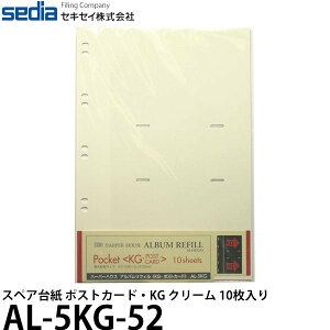y[ z ZLZC AL-5KG-52 XyA䎆 |XgJ[hEKG N[ 10